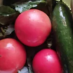 The Garden Апартаменты Дивьяка