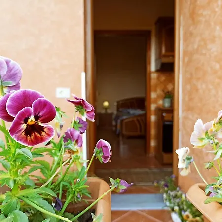 Apartmán The Garden