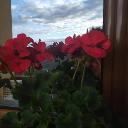 The Garden Apartmán Divjake