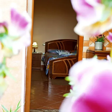 Apartmán The Garden