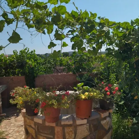 Apartmán The Garden