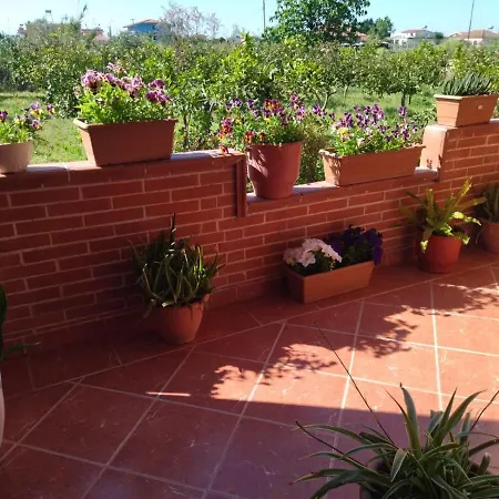 Apartament The Garden Divjaka
