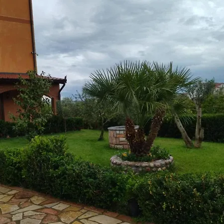 The Garden * Divjake