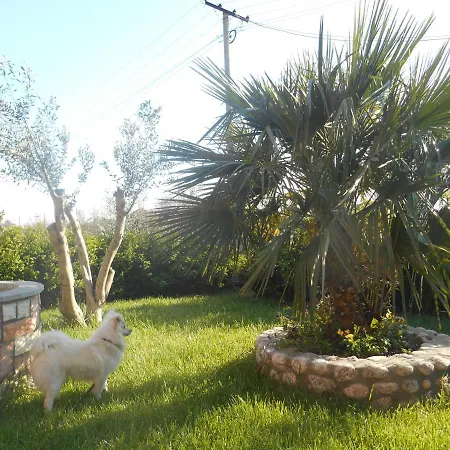 The Garden * Divjake