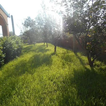 The Garden *