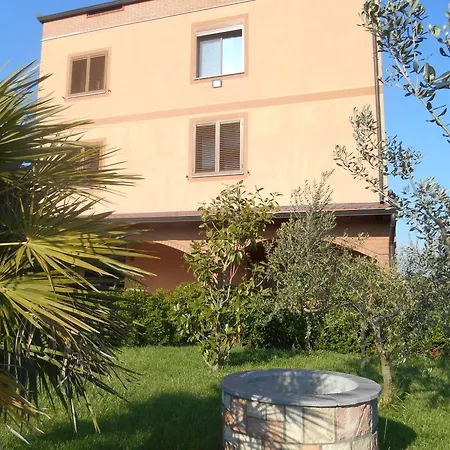 The Garden * Divjake