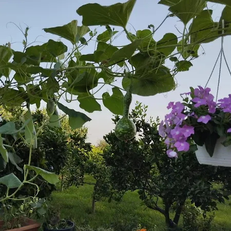 The Garden Apartmán *