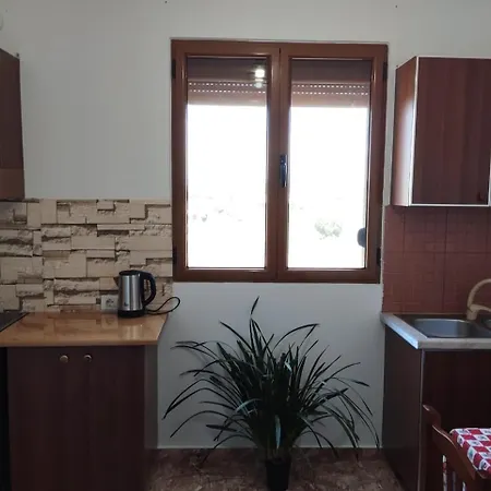 The Garden * Divjake