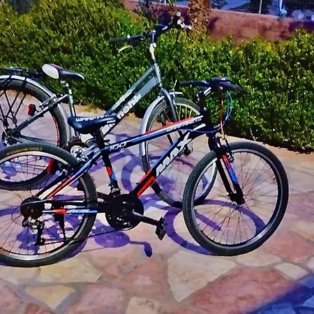 The Garden * ディヴィアーケ