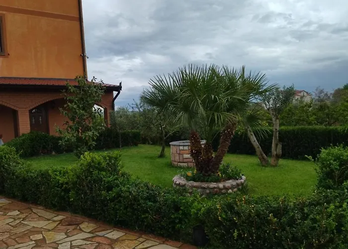 The Garden * Divjaka