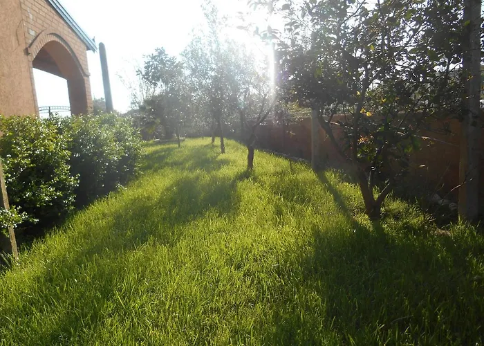 The Garden *