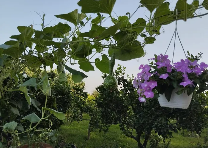 The Garden 公寓 *