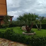 The Garden * Divjake
