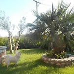 The Garden * Divjake