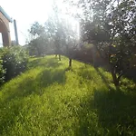 The Garden *