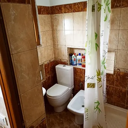 The Garden Apartment