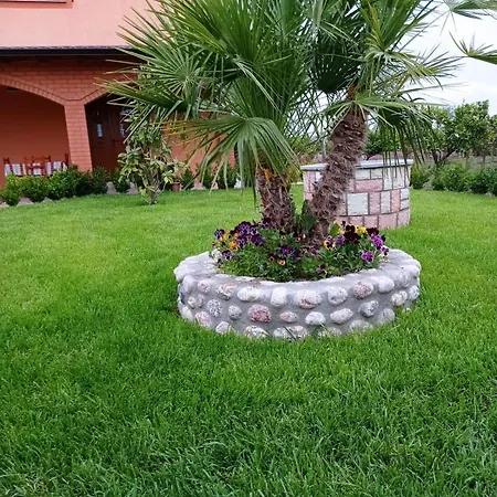 The Garden * ديفيجاكه