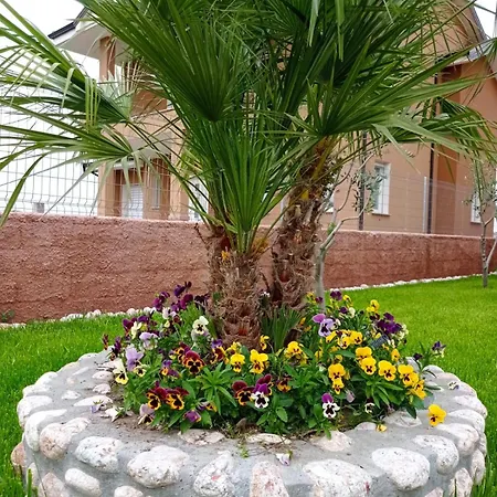 The Garden Apartment
