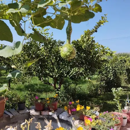Apartman The Garden Divjaka