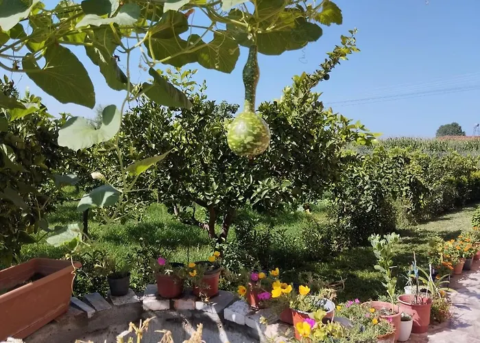 Διαμέρισμα The Garden Divjake